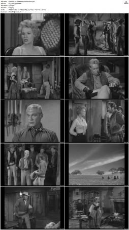 Wagon Train S01-S08 DVDRip XviD-cOOt