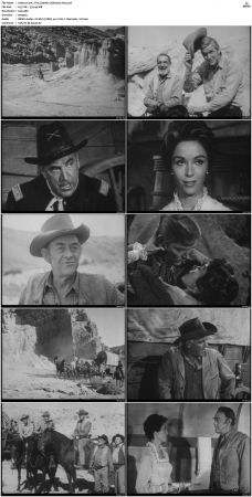 Wagon Train S01-S08 DVDRip XviD-cOOt