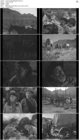 Wagon Train S01-S08 DVDRip XviD-cOOt