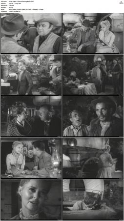 Wagon Train S01-S08 DVDRip XviD-cOOt