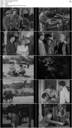 Wagon Train S01 S08 DVDRip XviD-cOOt