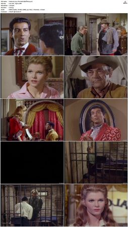 Wagon Train S01-S08 DVDRip XviD-cOOt