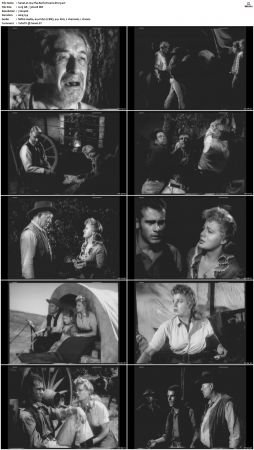 Wagon Train S01 S08 DVDRip XviD-cOOt