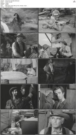 Wagon Train S01-S08 DVDRip XviD-cOOt