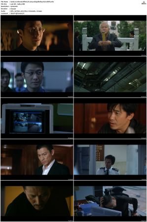 Infernal Affairs III 2003 1080p BluRay h264-XBiTs