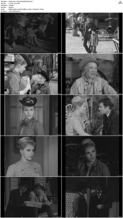 Wagon Train S01-S08 DVDRip XviD-cOOt