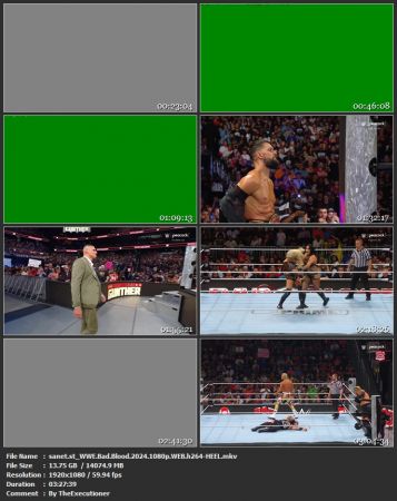 WWE Bad Blood 2024 1080p WEB h264-HEEL