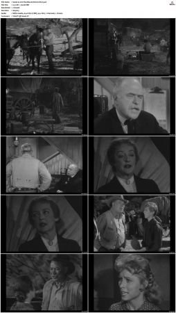 Wagon Train S01-S08 DVDRip XviD-cOOt