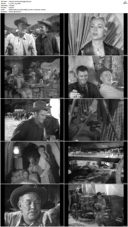 Wagon Train S01 S08 DVDRip XviD-cOOt