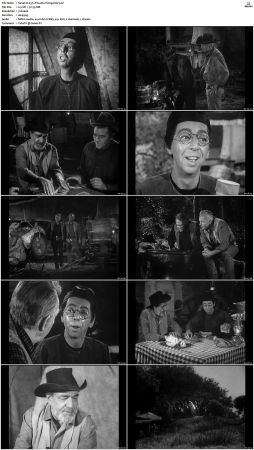 Wagon Train S01-S08 DVDRip XviD-cOOt