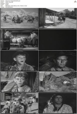 Wagon Train S01-S08 DVDRip XviD-cOOt