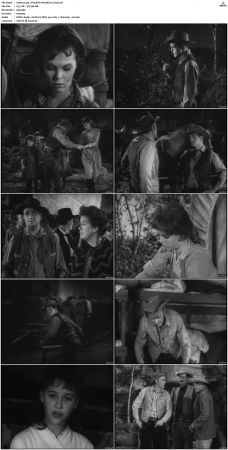 Wagon Train S01-S08 DVDRip XviD-cOOt
