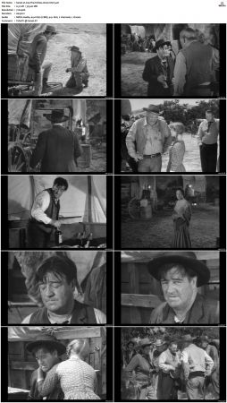 Wagon Train S01-S08 DVDRip XviD-cOOt