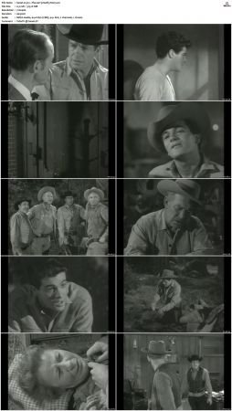 Wagon Train S01-S08 DVDRip XviD-cOOt