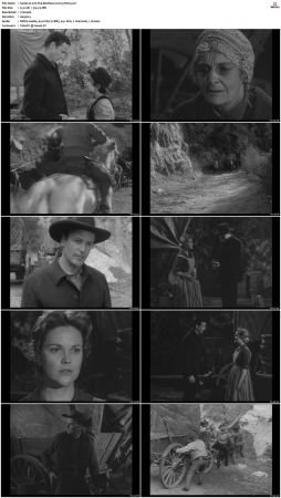Wagon Train S01-S08 DVDRip XviD-cOOt