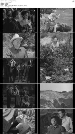 Wagon Train S01-S08 DVDRip XviD-cOOt