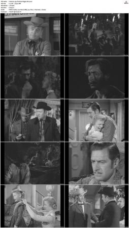 Wagon Train S01-S08 DVDRip XviD-cOOt