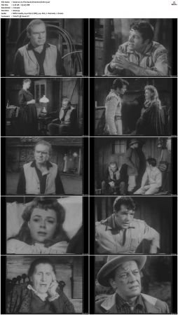 Wagon Train S01-S08 DVDRip XviD-cOOt