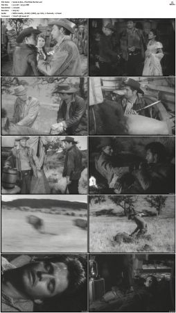 Wagon Train S01-S08 DVDRip XviD-cOOt