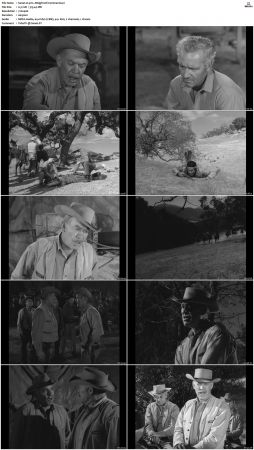 Wagon Train S01-S08 DVDRip XviD-cOOt