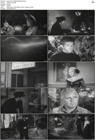 Wagon Train S01-S08 DVDRip XviD-cOOt