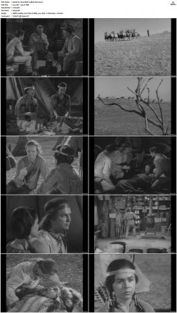 Wagon Train S01-S08 DVDRip XviD-cOOt