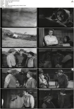 Wagon Train S01-S08 DVDRip XviD-cOOt