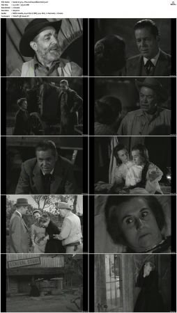 Wagon Train S01-S08 DVDRip XviD-cOOt