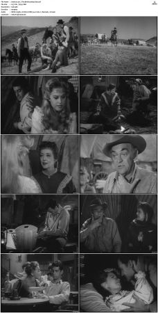 Wagon Train S01-S08 DVDRip XviD-cOOt