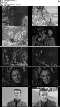 Wagon Train S01-S08 DVDRip XviD-cOOt