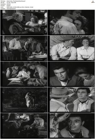 Wagon Train S01-S08 DVDRip XviD-cOOt