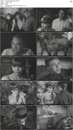 Wagon Train S01-S08 DVDRip XviD-cOOt