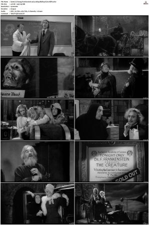 Young Frankenstein 1974 1080p BluRay h264-XBiTs