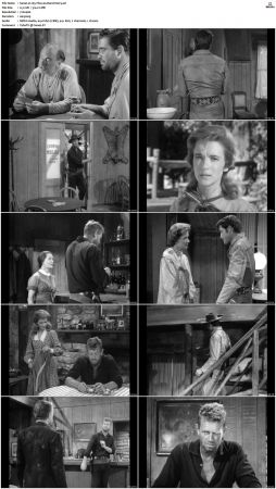 Wagon Train S01 S08 DVDRip XviD-cOOt