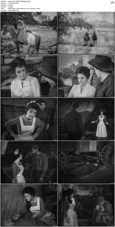 Wagon Train S01-S08 DVDRip XviD-cOOt