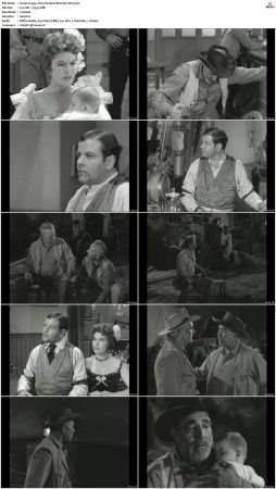 Wagon Train S01-S08 DVDRip XviD-cOOt