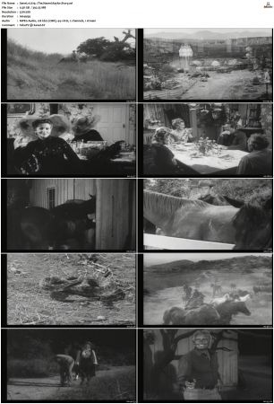 Wagon Train S01-S08 DVDRip XviD-cOOt