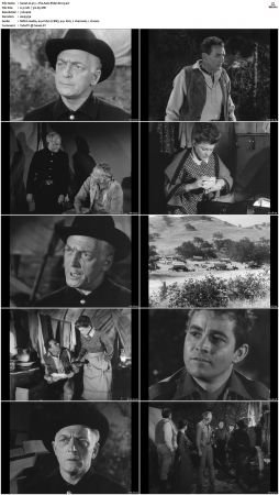 Wagon Train S01-S08 DVDRip XviD-cOOt