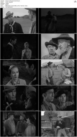 Wagon Train S01 S08 DVDRip XviD-cOOt