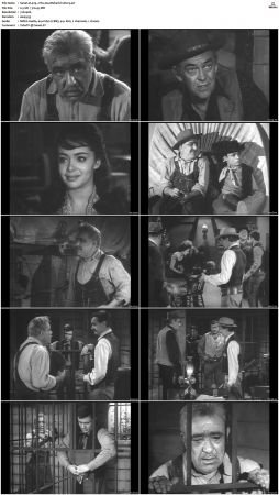 Wagon Train S01-S08 DVDRip XviD-cOOt