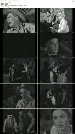 Wagon Train S01-S08 DVDRip XviD-cOOt