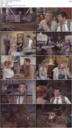 Wagon Train S01-S08 DVDRip XviD-cOOt