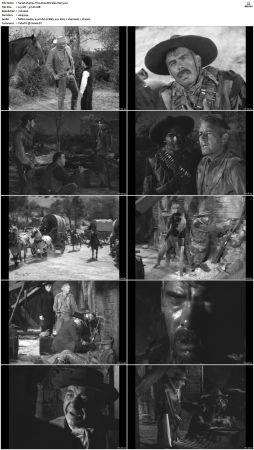 Wagon Train S01-S08 DVDRip XviD-cOOt