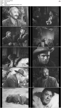 Wagon Train S01-S08 DVDRip XviD-cOOt