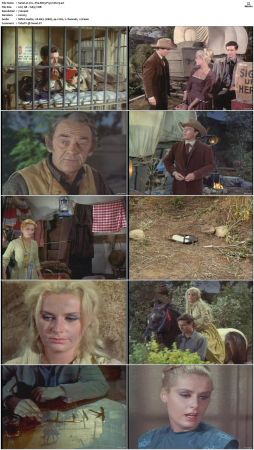 Wagon Train S01-S08 DVDRip XviD-cOOt