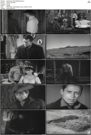 Wagon Train S01-S08 DVDRip XviD-cOOt