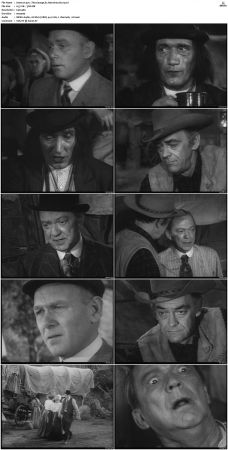 Wagon Train S01-S08 DVDRip XviD-cOOt