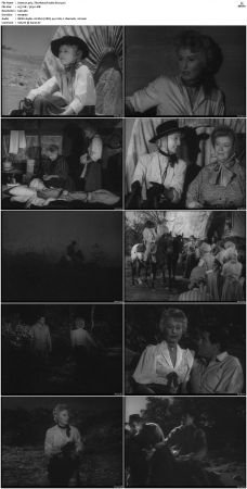 Wagon Train S01-S08 DVDRip XviD-cOOt