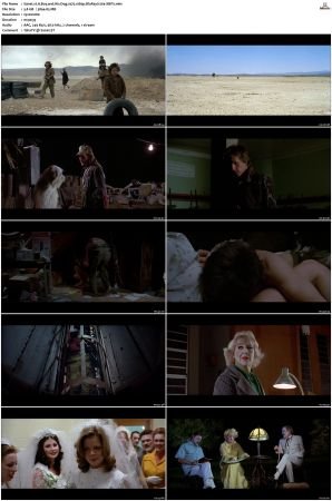 A Boy and His Dog 1975 1080p BluRay h264-XBiTs