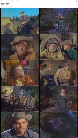 Wagon Train S01-S08 DVDRip XviD-cOOt